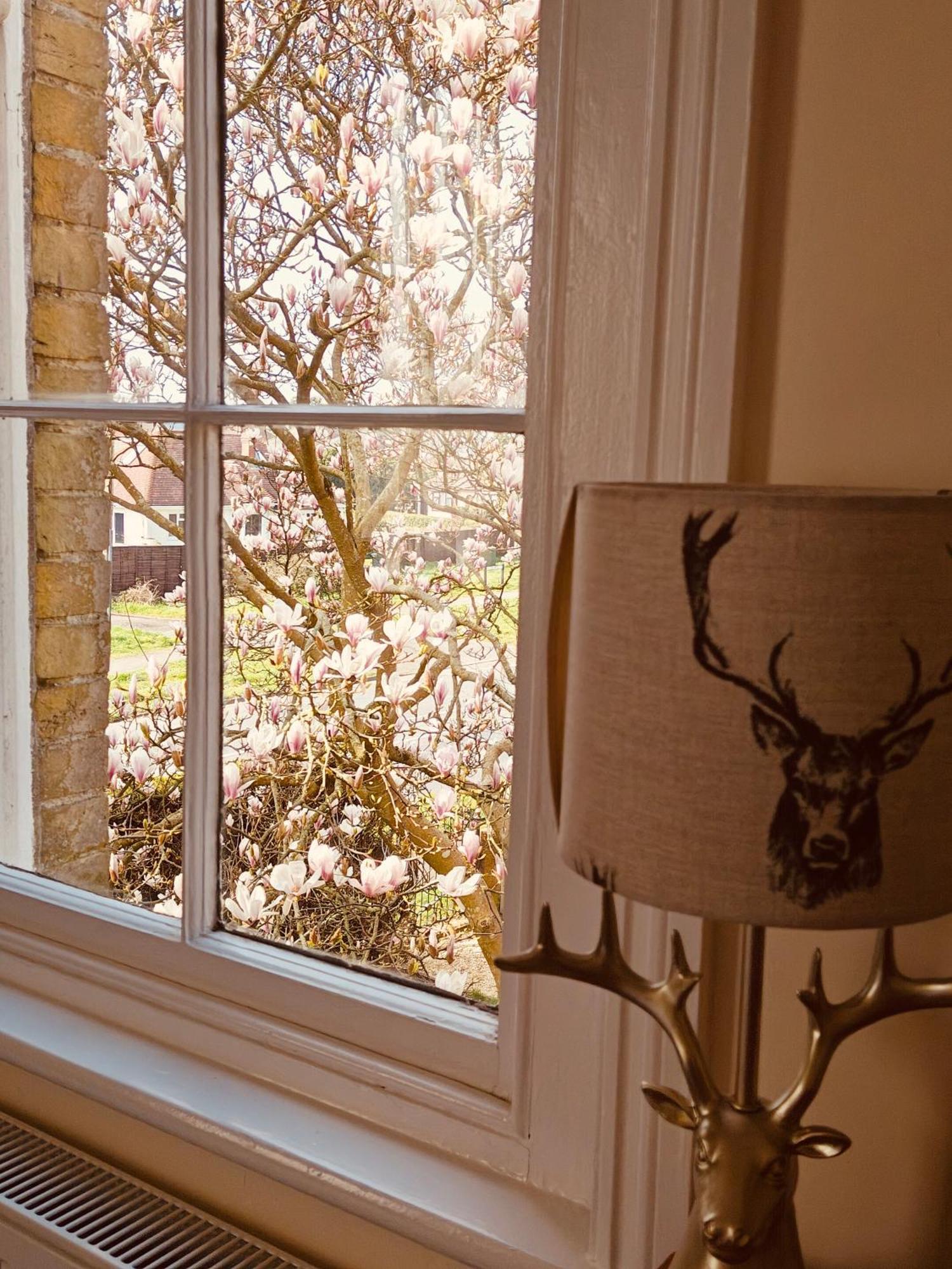 Langley House B&B 외부 사진